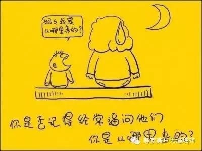 640.webp (6)