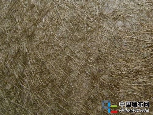 草編壁紙是什么？好用嗎？
