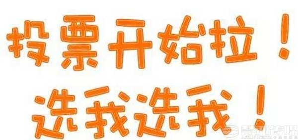 墻紙大調查投票