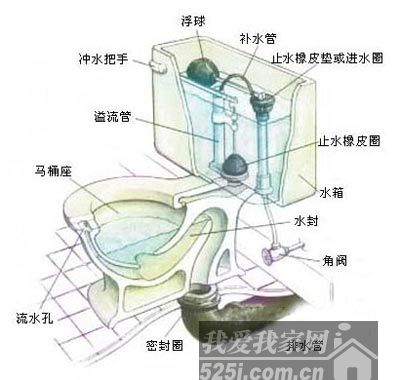 馬桶結構圖