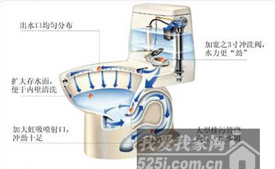馬桶結構示意圖